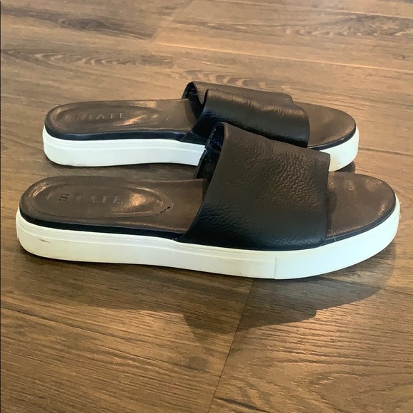 1.State Platform Slides - Picture 2 of 3